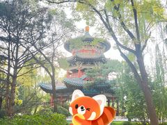 -迎泽公园