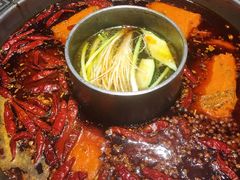 -杨肥肠火锅大排档(火车站花园店)