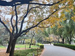 -国家植物园南园