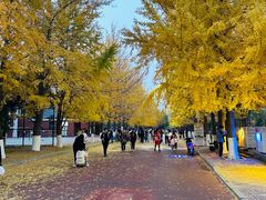 -辽宁大学(崇山校区)