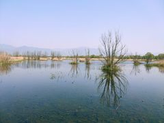 -野鸭湖国家湿地公园