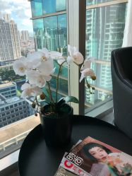 -芙芬芳·半永久纹眉（深圳旗舰店）