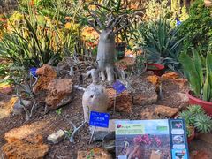 -国家植物园南园