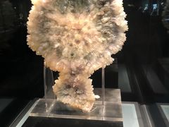 -中华赏石园