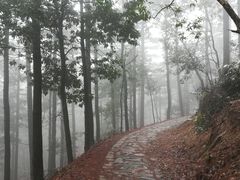 -四明山国家森林公园
