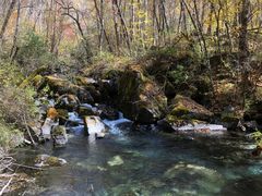 -叠溪松坪沟景区