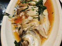 -张鸟园农家乐(张鸟园店)