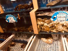 -喝丢一只鞋海鲜烧烤·海肠捞饭(文体街店)