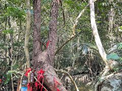 -七仙岭温泉国家森林公园