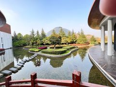 -洪湖悦兮半岛国际温泉度假村