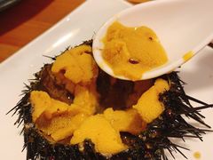 -海胆小馆(东北水饺·春柳店)