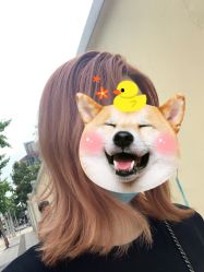 -镁连社·美联社
