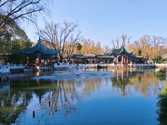 -MAP CHA普洱茶馆(翠湖店)