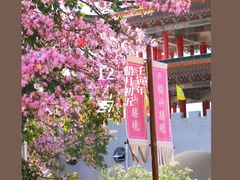 -东莞观音山旅游风景区
