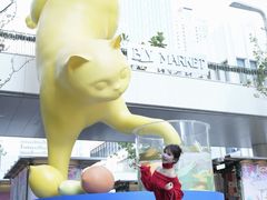 -深圳湾万象城(南山店)