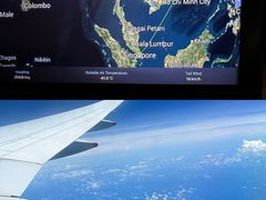 -新加坡航空公司(ION)