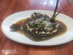 多宝鱼-海岛渔村大酒店(云霄路店)
