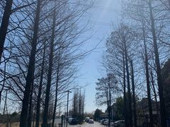 -广富林郊野公园