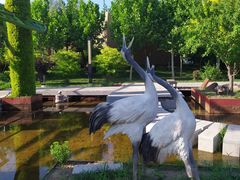 -武清南湖绿博园