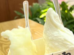 -野人先生Gelato(上海长宁龙之梦店)
