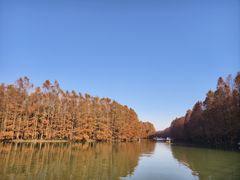 -上海海湾国家森林公园