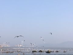 -深圳湾公园(南山区)