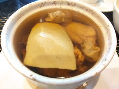花胶椰青炖鸡-新兴·金羊座·粤菜点心(乐峰店)