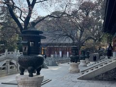 -香山公园