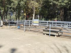 -长白岛森林公园