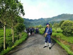-井冈山风景名胜区-黄洋界