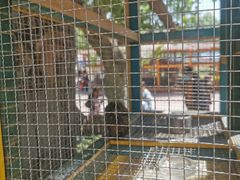 -辛玛王国游乐园