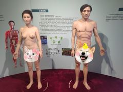 -陕西自然博物馆