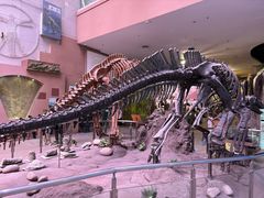 -陕西自然博物馆