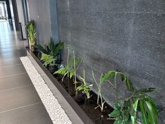 -帝京日语(春熙路旗舰校区)