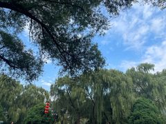-北陵公园