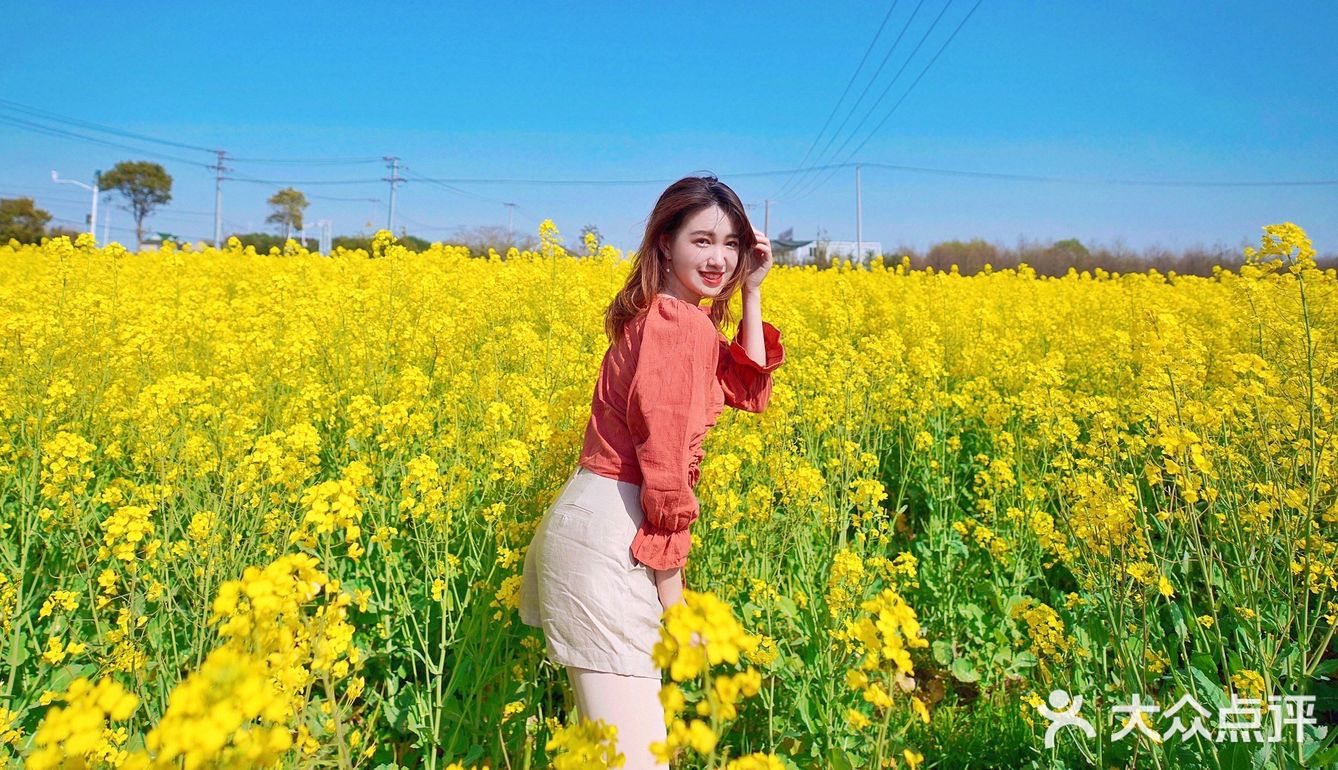 上海旅行拍照攻略去油菜花田感受春日气息