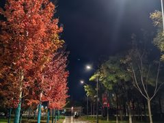 -兰州大学(榆中校区)