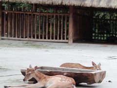 -金沙遗址博物馆