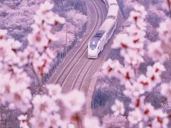 -居庸关长城