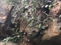 -咸宁万豪温泉谷度假区