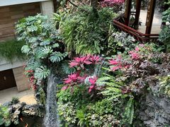 -广州白天鹅宾馆