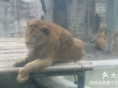 -成都动物园