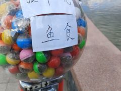 -抚顺煤矿博物馆