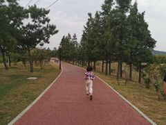 -羊亭河湿地公园