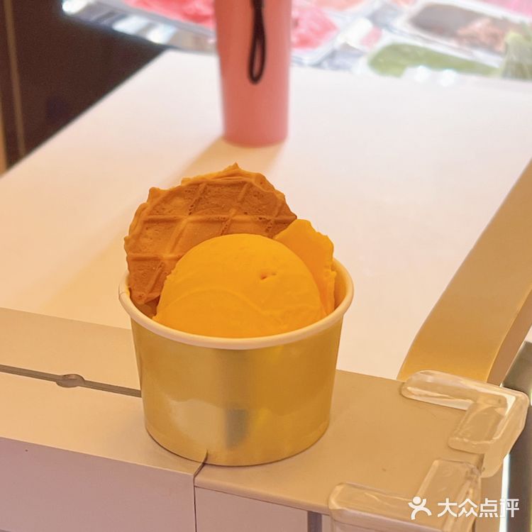 城市向导官 意大利手工冰淇淋 高颜值冰淇淋