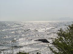 -大锅强·蒸海鲜青岛菜(吾悦广场店)