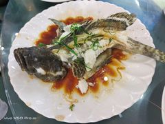 清蒸石斑鱼-覃记海鲜美食餐厅