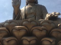 -龙口南山旅游景区