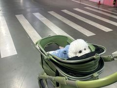 -丽达购物中心(崂山店)