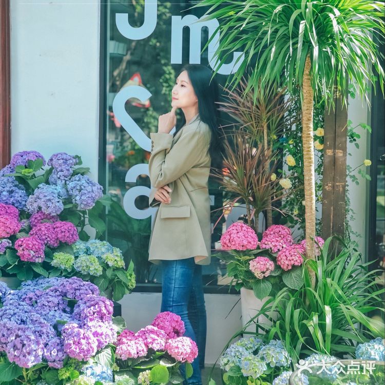 探店|在胡同绣球花盛开的小院听一曲周杰伦